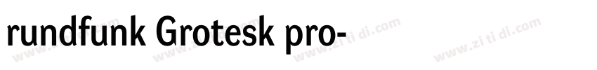 rundfunk Grotesk pro字体转换